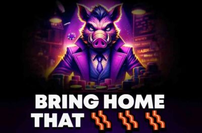 Bethog goes live, a new Solana based casino